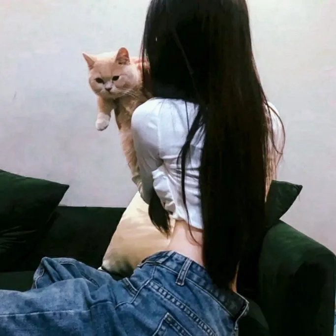 小鱼